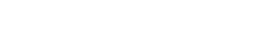 experience12 logo